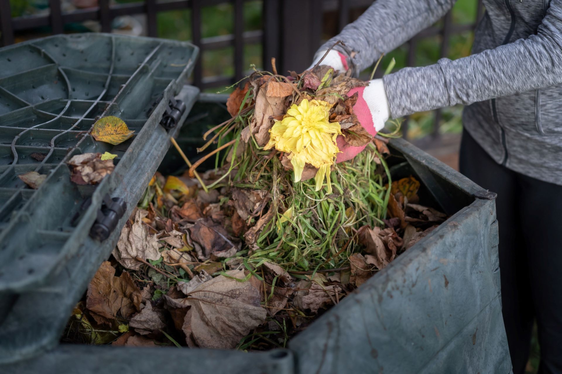 Compost your yard waste TCD Guide